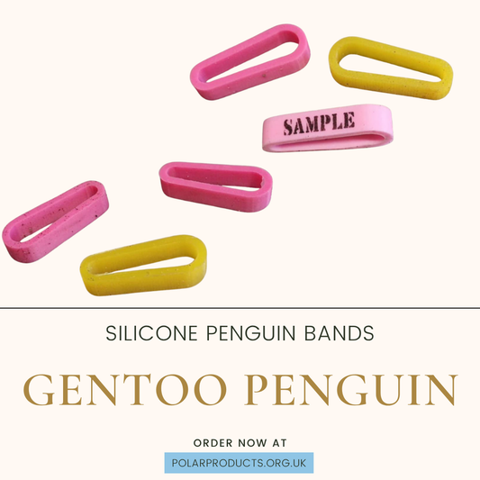 Gentoo Penguin Band